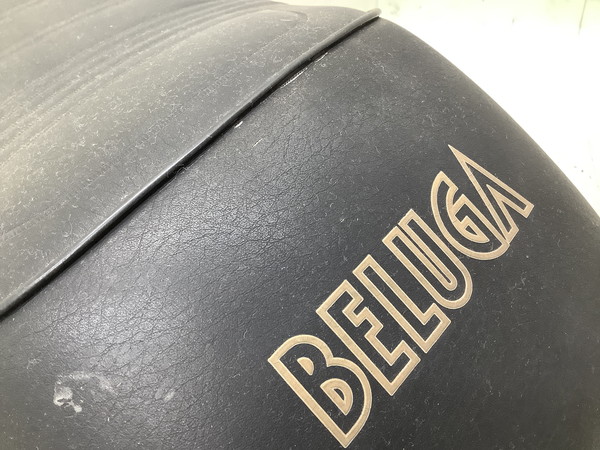 x[K50(6V)/ BELUGA CV50E   V[g  5G6-3079