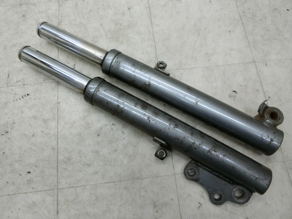 JOG/ WO CY50Z SPORTS EDITION   tgtH[NE  3RY-1569