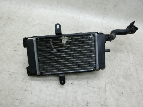 }WFXeB125/ MAJESTY125  WG^[/ WG^[Lbv/ t@  LPRSE2710BA-1585