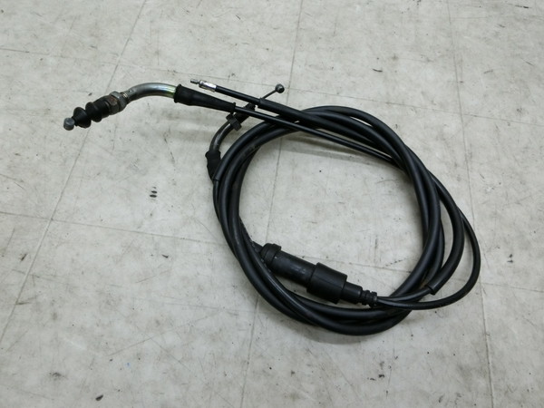 Wm/ GIORNO SN50T   ANZC[  AF24-1805