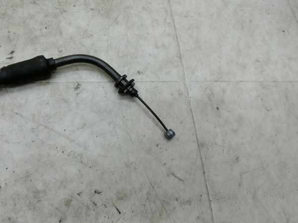 bc2/ Let'sU AZ50   ANZC[  CA1PA-1248