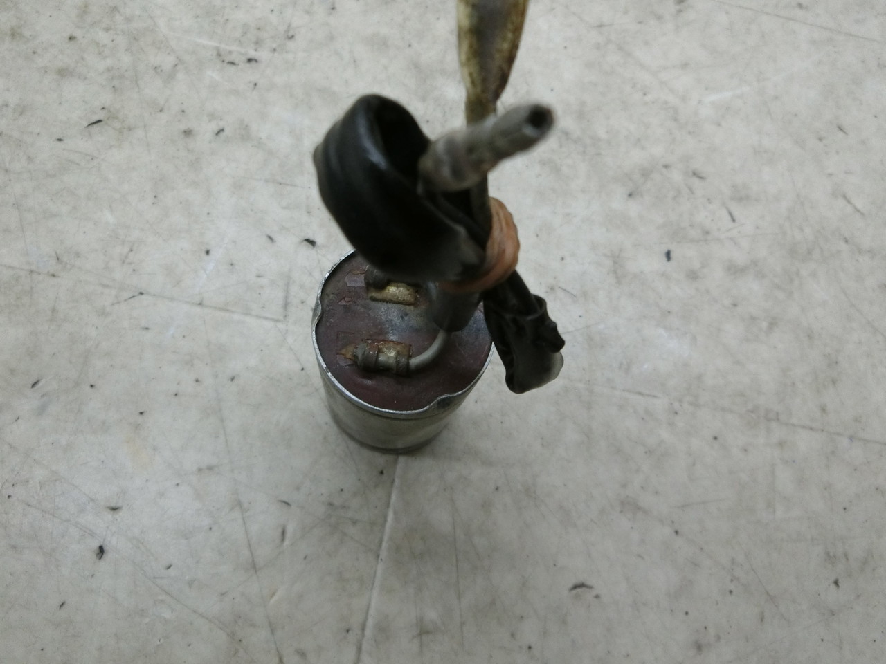 �m�[�e�B�_�b�N�X(12V)/ �_�b�N�X NAUTY DAX   �E�C���J�[�����[  CY50-1013