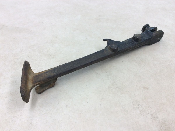 NS250F  TChX^h  MC11-