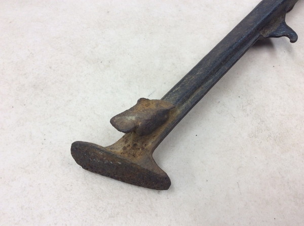 NS250F  TChX^h  MC11-