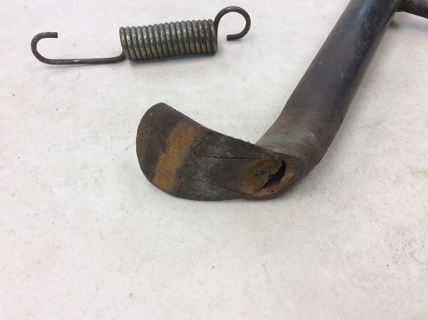 NS-1  TChX^h  AC12-1300