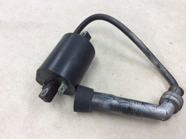 �{���e�B250/Volty  �C�O�j�b�V�����R�C��/ �v���O�R�[�h/ �v���O�L���b�v/ �R�C�� F6T507 NJ47A-