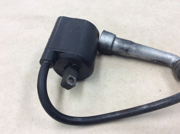 �{���e�B250/Volty  �C�O�j�b�V�����R�C��/ �v���O�R�[�h/ �v���O�L���b�v/ �R�C�� F6T507 NJ47A-