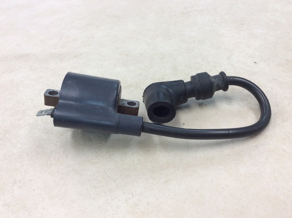 TS125R  �C�O�j�b�V�����R�C��/ �v���O�R�[�h/ �v���O�L���b�v/ �R�C�� �f���\�[129700 SF15A-1119