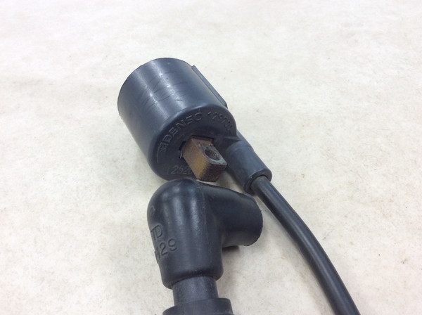 TS125R  �C�O�j�b�V�����R�C��/ �v���O�R�[�h/ �v���O�L���b�v/ �R�C�� �f���\�[129700 SF15A-1119