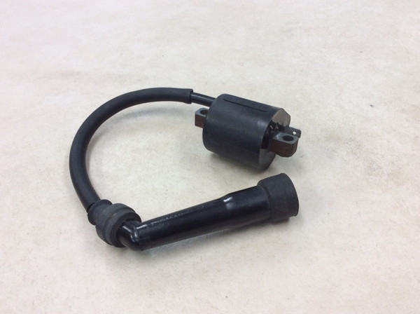 �O�[�X350/GOOSE  �C�O�j�b�V�����R�C��/ �v���O�R�[�h/ �v���O�L���b�v/ �R�C�� F6T533 NK42A-1042