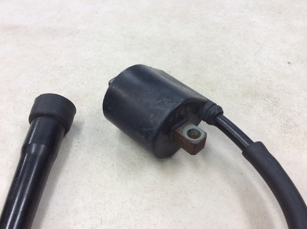 �O�[�X350/GOOSE  �C�O�j�b�V�����R�C��/ �v���O�R�[�h/ �v���O�L���b�v/ �R�C�� F6T533 NK42A-1042