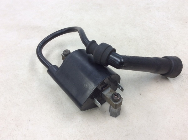 �{���e�B250/Volty  �C�O�j�b�V�����R�C��/ �v���O�R�[�h/ �v���O�L���b�v/ �R�C�� F6T507 NJ47A-1149