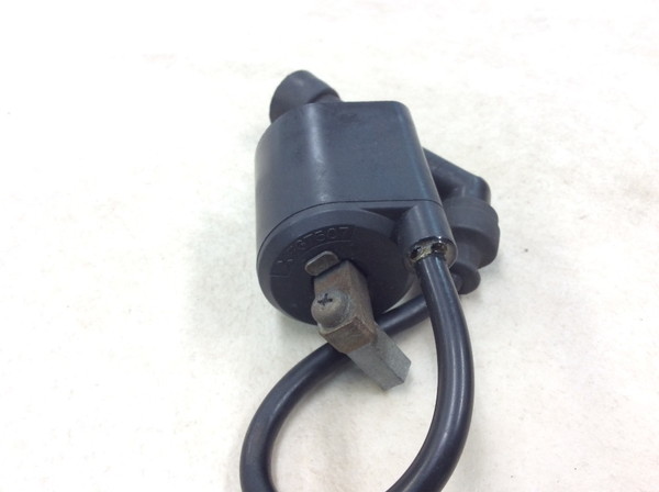 �{���e�B250/Volty  �C�O�j�b�V�����R�C��/ �v���O�R�[�h/ �v���O�L���b�v/ �R�C�� F6T507 NJ47A-1149