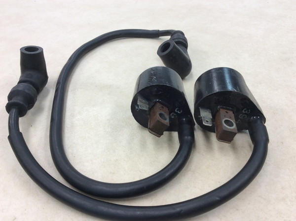 �E���t250/WOLF  �C�O�j�b�V�����R�C��/ �v���O�R�[�h/ �v���O�L���b�v/ �R�C��  VJ21A-1082