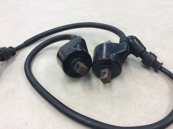 �E���t250/WOLF  �C�O�j�b�V�����R�C��/ �v���O�R�[�h/ �v���O�L���b�v/ �R�C��  VJ21A-1082