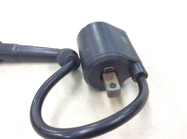 �{���e�B250/Volty  �C�O�j�b�V�����R�C��/ �v���O�R�[�h/ �v���O�L���b�v/ �R�C�� F6T507 NJ47A-1091