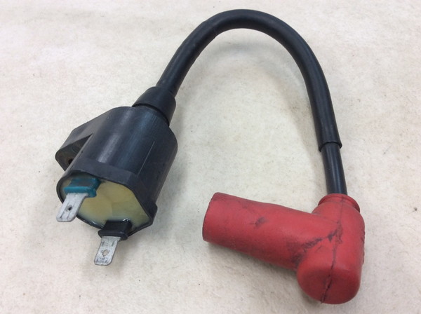 NS-1  �C�O�j�b�V�����R�C��/ �v���O�R�[�h/ �v���O�L���b�v/ �R�C�� MP13 AC12-1029