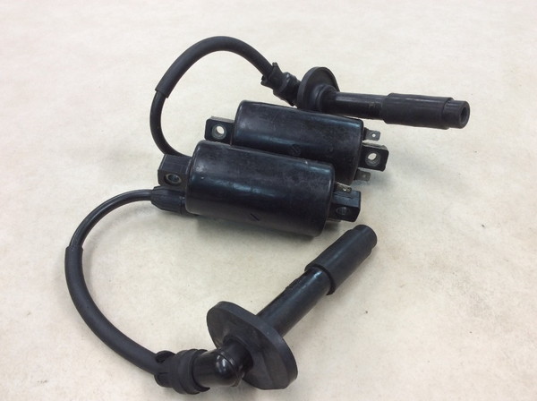 �A�v�����A50 �ЊO, �C�O�j�b�V�����R�C��/ �v���O�R�[�h/ �v���O�L���b�v/ �R�C��  ZD4LPA-0002