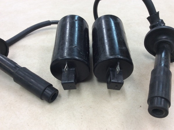 �A�v�����A50 �ЊO, �C�O�j�b�V�����R�C��/ �v���O�R�[�h/ �v���O�L���b�v/ �R�C��  ZD4LPA-0002