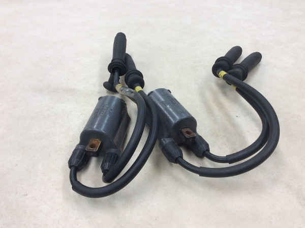 �o���I�X250/BALIUS  �C�O�j�b�V�����R�C��/ �v���O�R�[�h/ �v���O�L���b�v/ �R�C�� KP02 ZR250A-