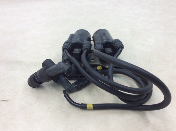 �o���I�X250/BALIUS  �C�O�j�b�V�����R�C��/ �v���O�R�[�h/ �v���O�L���b�v/ �R�C�� KP02 ZR250A-