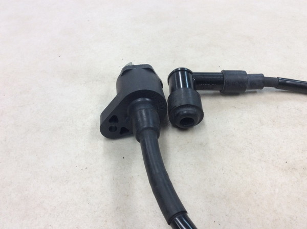 ���g���J�u/LittleCUB  �C�O�j�b�V�����R�C��/ �v���O�R�[�h/ �v���O�L���b�v/ �R�C�� MP11 AA01-1365