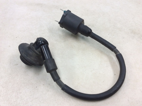 �L���r�[�i50  �C�O�j�b�V�����R�C��/ �v���O�R�[�h/ �v���O�L���b�v/ �R�C�� MP13 AF33-1004