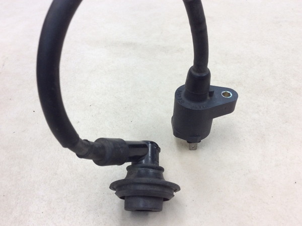 �L���r�[�i50  �C�O�j�b�V�����R�C��/ �v���O�R�[�h/ �v���O�L���b�v/ �R�C�� MP13 AF33-1004