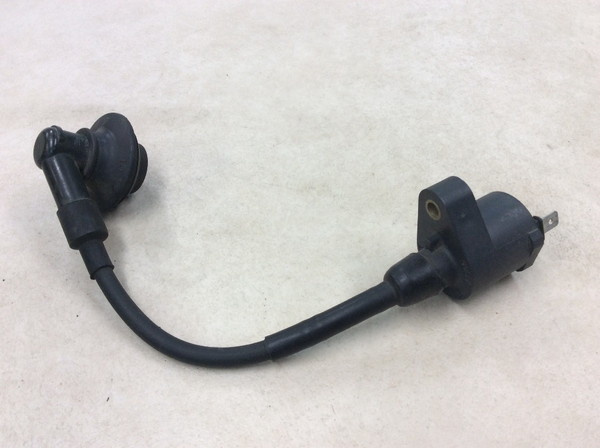 DIO/LiveDioZX/���C�u�f�B�IZX  �C�O�j�b�V�����R�C��/ �v���O�R�[�h/ �v���O�L���b�v/ �R�C�� MP13 AF35-142