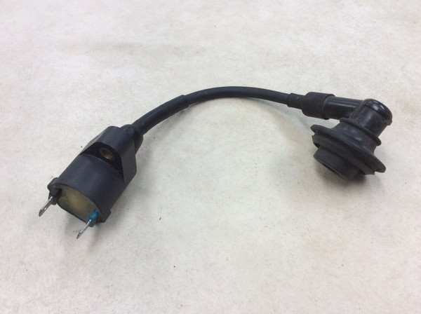 DIO/LiveDioZX/���C�u�f�B�IZX  �C�O�j�b�V�����R�C��/ �v���O�R�[�h/ �v���O�L���b�v/ �R�C�� MP13 AF35-142