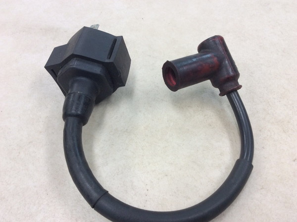 CRM50  �C�O�j�b�V�����R�C��/ �v���O�R�[�h/ �v���O�L���b�v/ �R�C��  AD10-1102