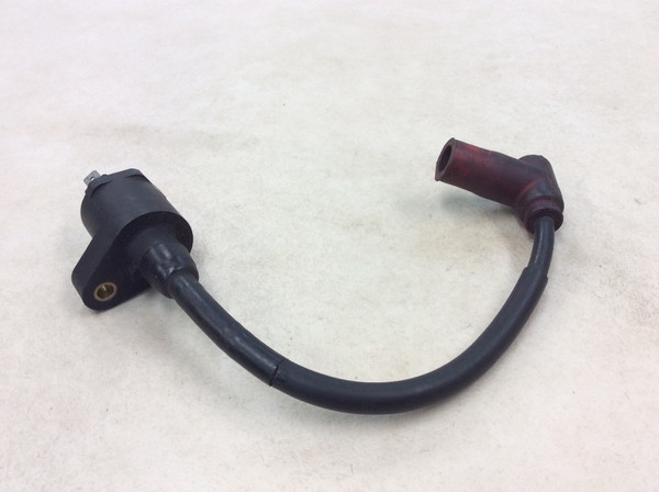 NS-1  �C�O�j�b�V�����R�C��/ �v���O�R�[�h/ �v���O�L���b�v/ �R�C�� MP13 AC12-1206