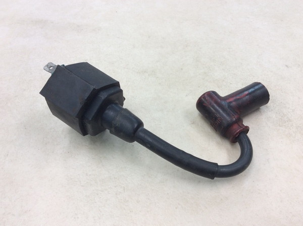 TLM50  �C�O�j�b�V�����R�C��/ �v���O�R�[�h/ �v���O�L���b�v/ �R�C��  AD07-1008