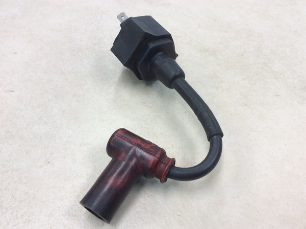 TLM50  �C�O�j�b�V�����R�C��/ �v���O�R�[�h/ �v���O�L���b�v/ �R�C��  AD07-1008