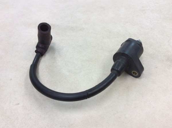 NS-1  �C�O�j�b�V�����R�C��/ �v���O�R�[�h/ �v���O�L���b�v/ �R�C�� MP13 AC12-1010