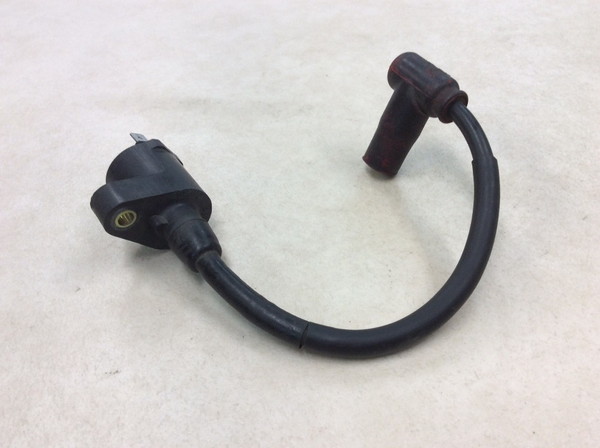 NS-1  �C�O�j�b�V�����R�C��/ �v���O�R�[�h/ �v���O�L���b�v/ �R�C�� MP13 AC12-1010