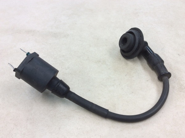 �W�����m/GIORNO  �C�O�j�b�V�����R�C��/ �v���O�R�[�h/ �v���O�L���b�v/ �R�C�� MP11 AF24-1507