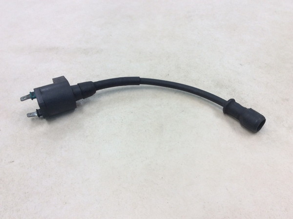 �W�����m/GIORNO  �C�O�j�b�V�����R�C��/ �v���O�R�[�h/ �v���O�L���b�v/ �R�C�� MP11 AF24-1718