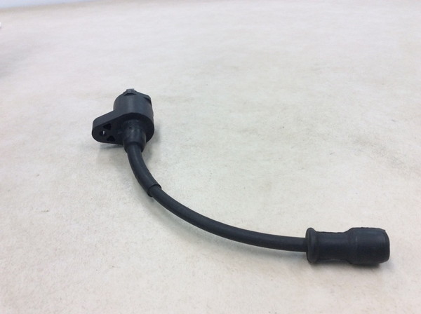 �W�����m/GIORNO  �C�O�j�b�V�����R�C��/ �v���O�R�[�h/ �v���O�L���b�v/ �R�C�� MP11 AF24-1718