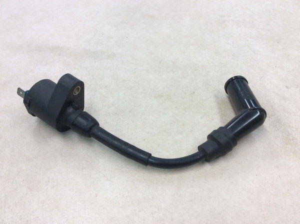 �W�����m�N���A/GiornoCrea  �C�O�j�b�V�����R�C��/ �v���O�R�[�h/ �v���O�L���b�v/ �R�C�� MP13 AF54-1000