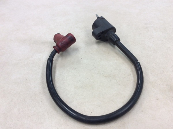 NS50F  �C�O�j�b�V�����R�C��/ �v���O�R�[�h/ �v���O�L���b�v/ �R�C�� MP11 AC08-1521