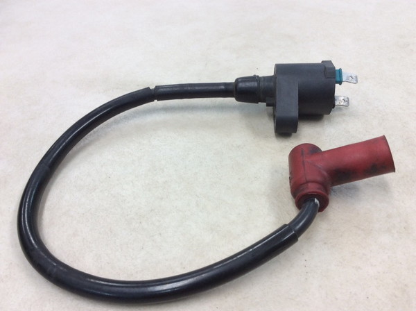 NS50F  �C�O�j�b�V�����R�C��/ �v���O�R�[�h/ �v���O�L���b�v/ �R�C�� MP11 AC08-1521