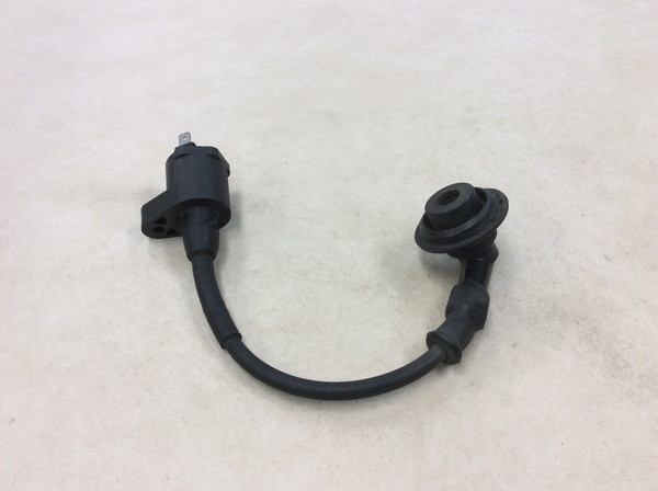 �W�����m/GIORNO  �C�O�j�b�V�����R�C��/ �v���O�R�[�h/ �v���O�L���b�v/ �R�C�� MP11 AF24-1701