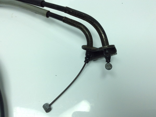 r[m/ Vino/ 2st  ANZC[ 5AU-26301-01 5AU-0638