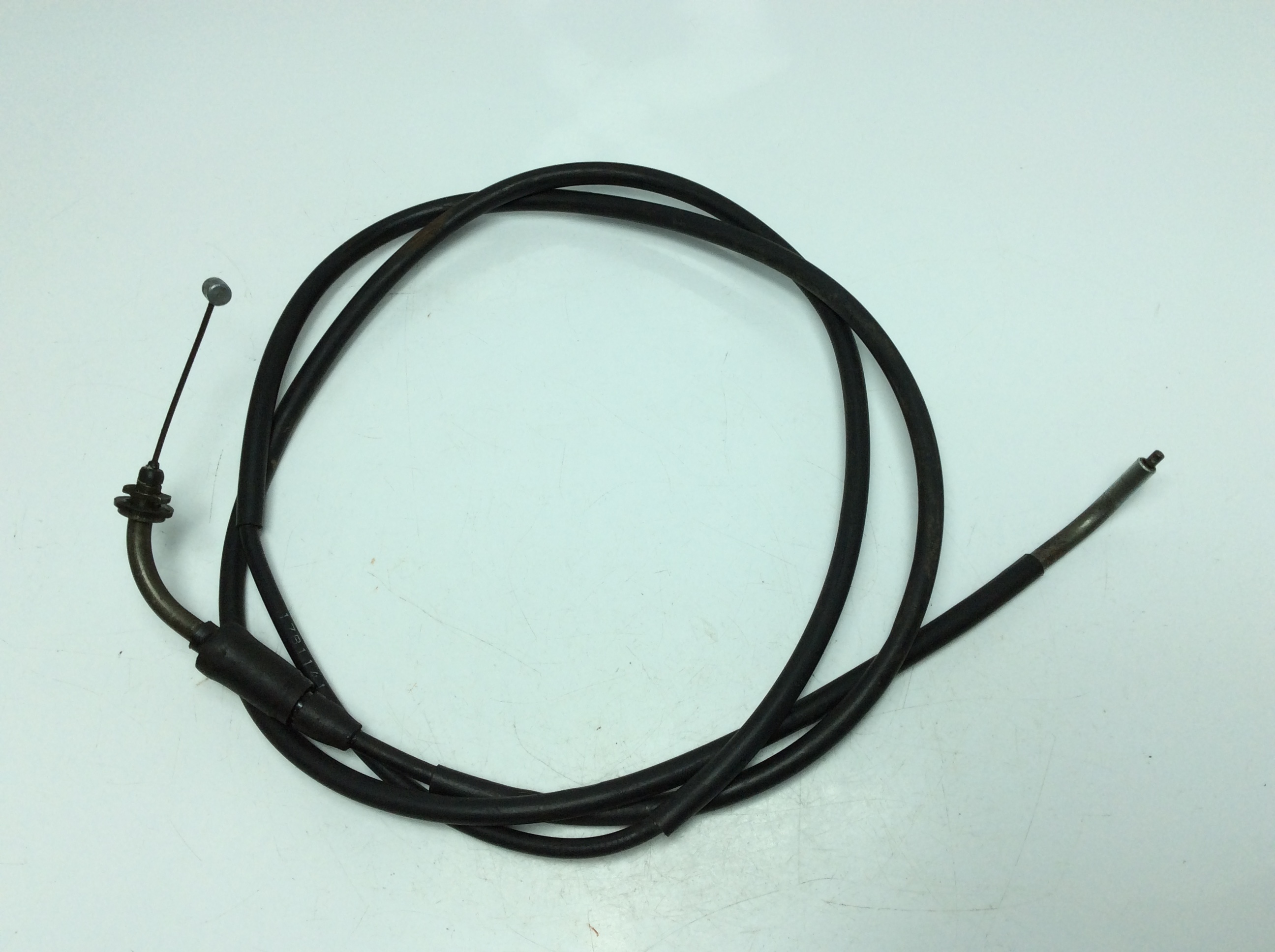 ����/ MOLLET  �A�N�Z�����C���[ 17B1141 FA14A-1447