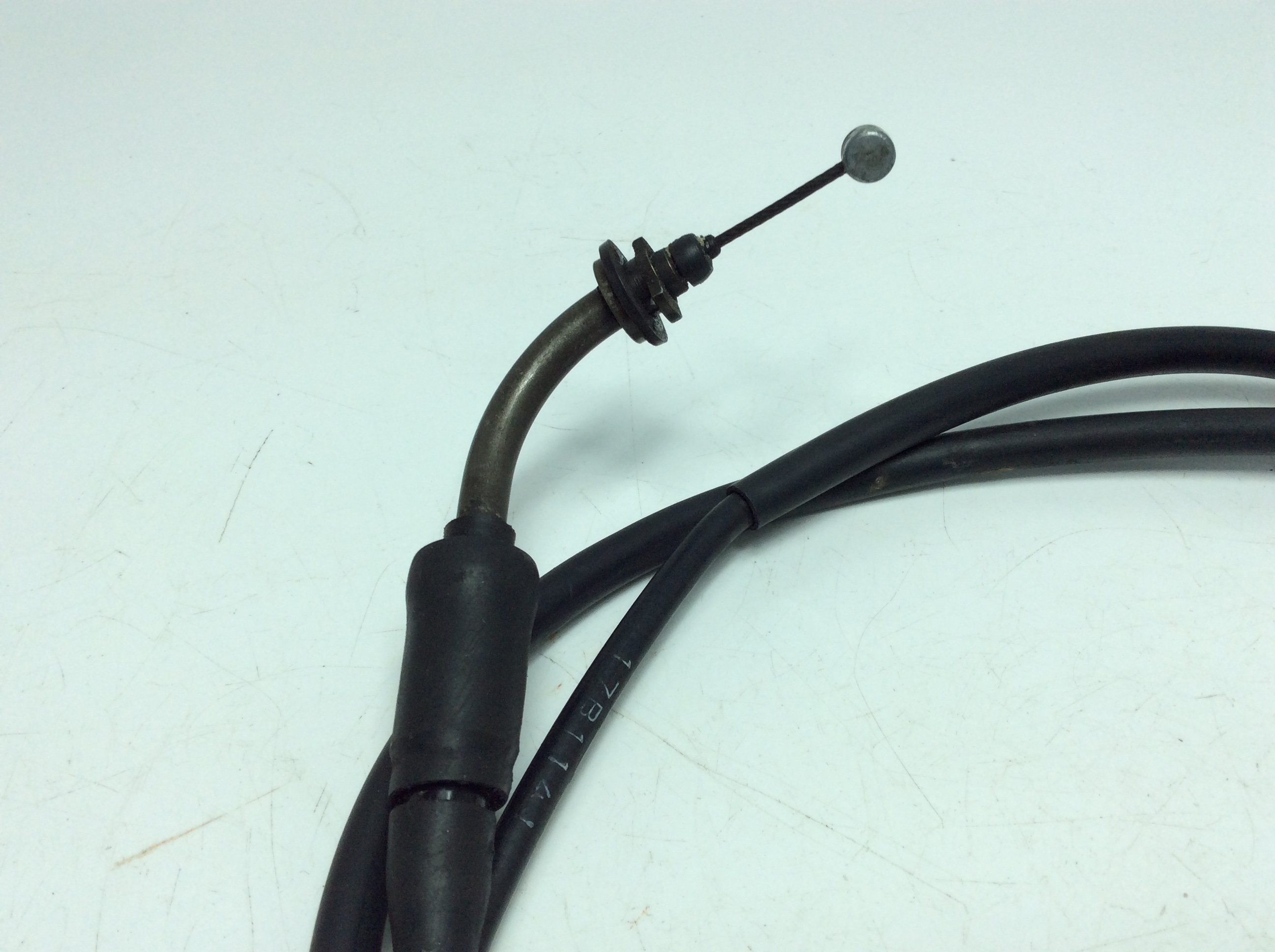 ����/ MOLLET  �A�N�Z�����C���[ 17B1141 FA14A-1447