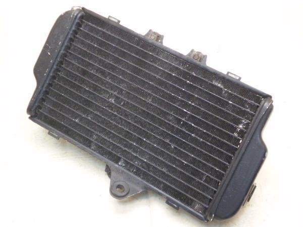 FZR250R WG^[ 3LN-220