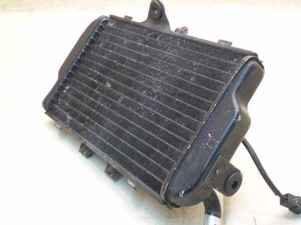 FZR250R WG^[ 3LN-220