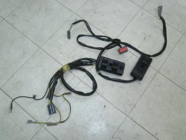 xXpPK125 XCb`Zbg DGM51289
