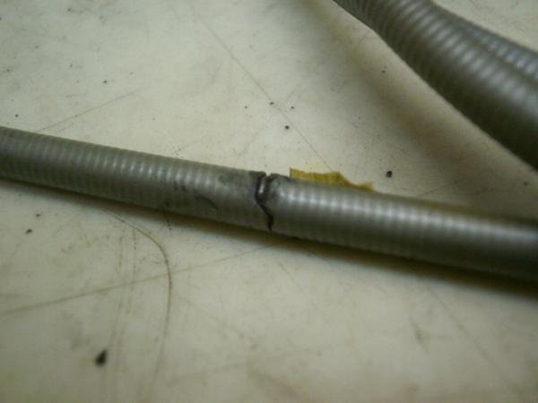 xXpPK125 ANZC[ DGM51289